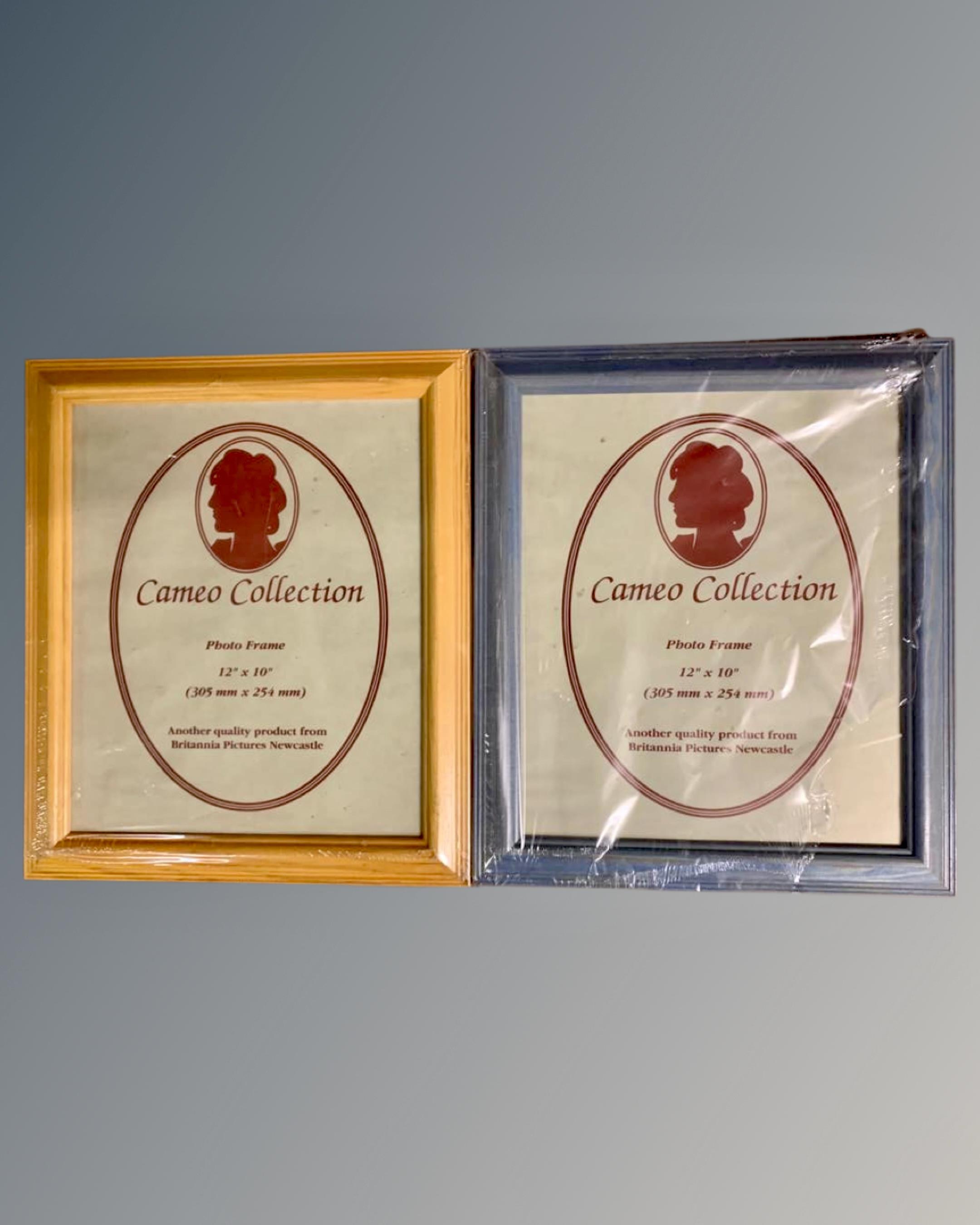 One crate containing twenty six Cameo Collection 12" x 10" photo frames, in various finishes,