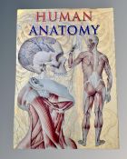 An oversized volume "The human anatomy"