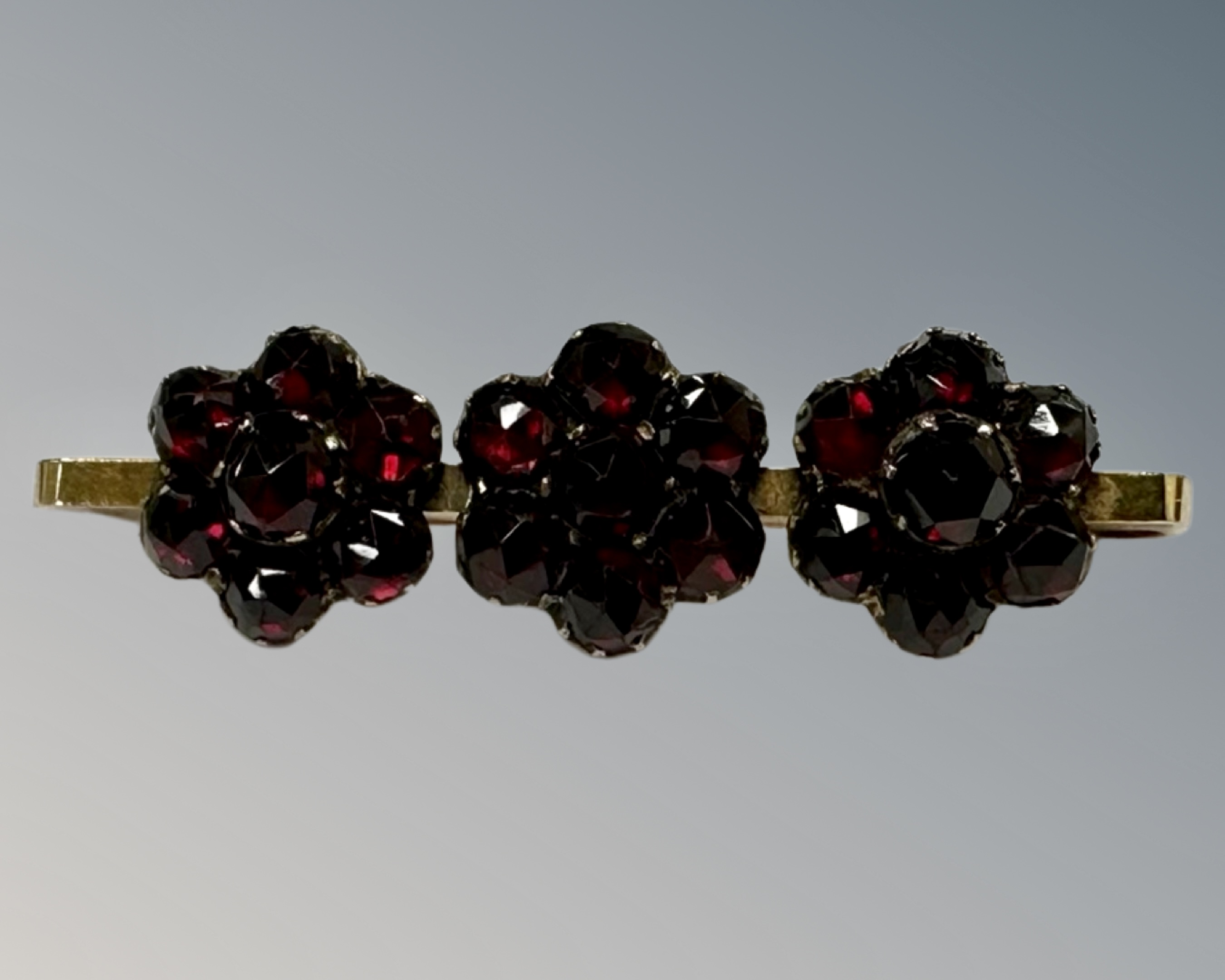 A 9ct yellow gold floral cluster garnet bar brooch, 3.5g, width 37 mm.