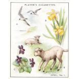 PLAYERS, A Nature Calendar, complete, large, VG to EX, 25