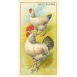 C.W.S., Poultry, complete, EX, 48