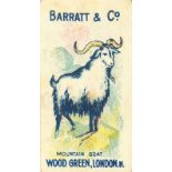 BARRATT, Natural History (animals), Mountain Goat, CSGB: HB9, G
