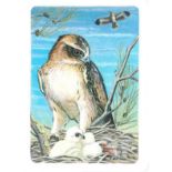 TUCKFIELD, Australiana Bird Series, complete, nos. 385-480, medium, anon. (Yarra), EX, 96