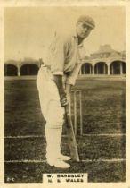 PHILLIPS, Cricketers (1924), Nos. 1-6, large, brown backs, FR to VG, 6