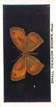 PHILLIPS, British Butterflies complete (2), light & dark blue, 1927 issue, EX, 50