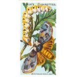 ADKIN, complete (2), Butterflies & Moths, Wild Animals of the World, EX, 100