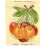 A.T.C., Fruit, large silks, VG, 10