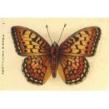 A.T.C., Butterflies & Moths, medium silks, some fraying, FR to G, 31*