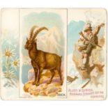 U.S.A., large odds, inc. A & G, Fish, Quadruped, Decoration; Duke and another Beauty, creased (1),