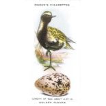 OGDENS, British Birds & Their Eggs, complete, EX to MT, 50