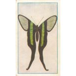 SNIDERS & ABRAHAMS, Butterflies & Moths, G to VG, 48