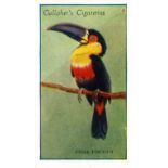 GALLAHER, Zoo Tropical Birds 1st & 2nd, complete, VG to EX, 100