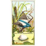 WILLS, Birds of Australasia, mixed series, FR to VG, 110*