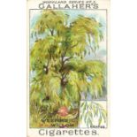 GALLAHER, Woodland Trees Series, complete, G to VG, 100