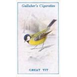GALLAHER, British Birds by George Rankin, complete, VG to EX, 100