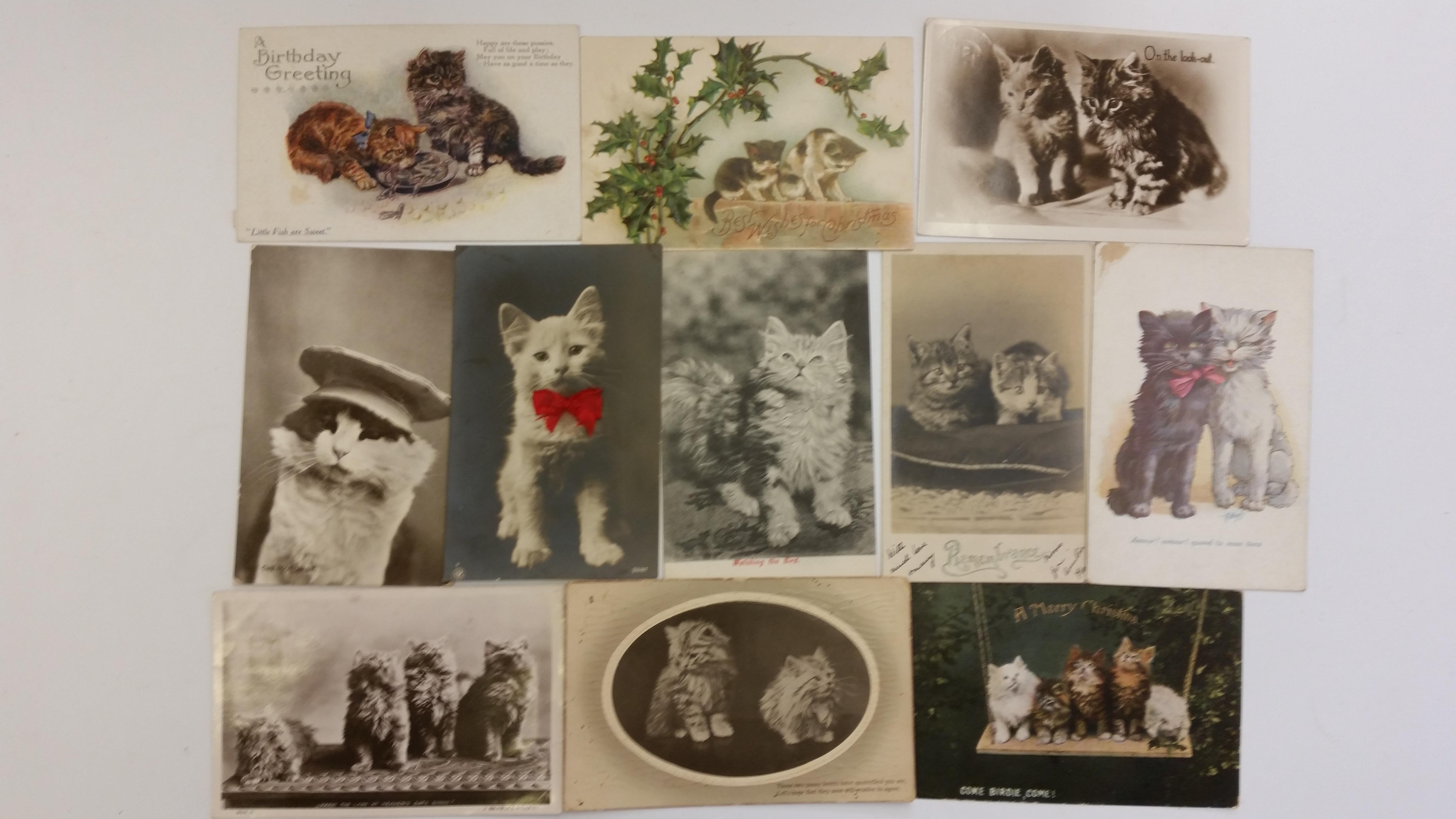 CATS, selection, inc. postcards (28), Henderson, Regent, Beagles, Carlton; birthday, Afternoon