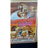 CIRCUS, posters, Chipperfield, 21st-25th Oct n.y. (1976), showing Lion tamer & lions; Robert