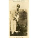 PATTREIOUEX, Famous Cricketers, nos. between C.52 & C.69, printed backs, creased (1), some irregular