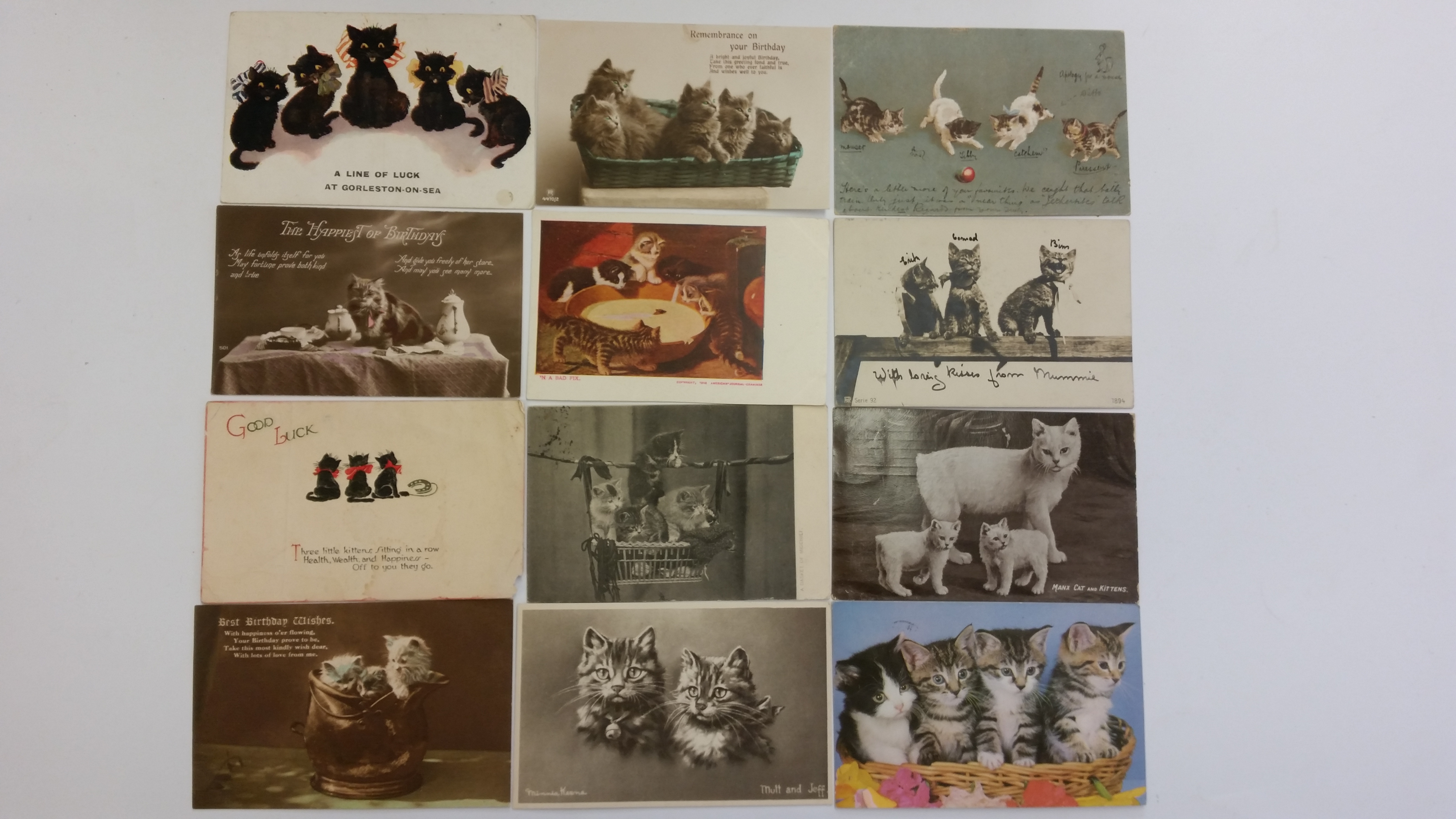 CATS, selection, inc. postcards (28), Henderson, Regent, Beagles, Carlton; birthday, Afternoon - Image 2 of 3