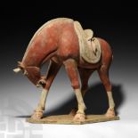 Large Chinese Tang Horse with Lowered Head