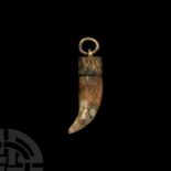 Large Viking Period Bear's Tooth Pendant