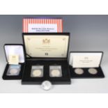 A United States Mint 'MS70 Silver Eagle Collection' two-coin set 2021, both slabbed and cased,