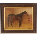 Alfred Grenfell Haigh - 'Crown Derby' (Study of a Racehorse in a Stable), oil on canvas, signed,