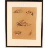 Raoul Millais - Studies of Foxes, pastel with coloured chalks, signed and dated '28 recto, titled