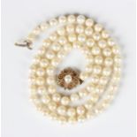 A single row necklace of uniform cultured pearls on a 9ct gold and cultured pearl clasp in a