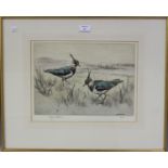 Henry Wilkinson - Two Lapwings in a Marshland Landscape, 20th century etching with hand-colouring,