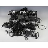 A collection of ten Olympus cameras, including M-1 with Zuiko Auto-S 1:1.4 50mm lens, three OM-1