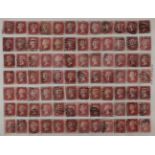 Four albums of Great Britain 1d red plates 71-225 part reconstructions of each plate, including