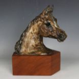 An Irene French pottery model of a horse's head, incised signature, raised on a wooden plinth, total
