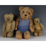 A mohair Yes/No teddy bear, height 13cm, together with four other mohair teddy bears, heights