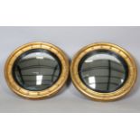 A pair of Regency giltwood and gesso circular convex wall mirrors with ballshot borders, diameter