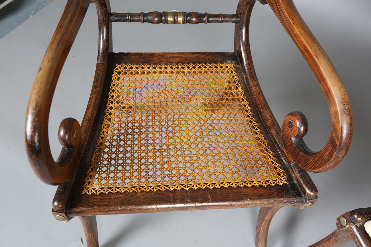 A set of eight Regency simulated rosewood and gilt brass mounted dining chairs, the centre rails - Bild 19 aus 25