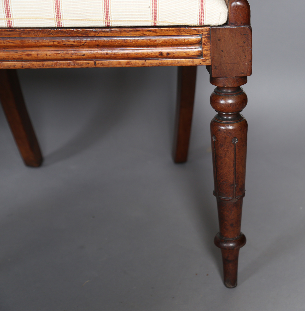 A set of six Regency mahogany bar back dining chairs with finely carved tulip cusp centre rails - Bild 7 aus 9