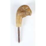 An early 20th century rhinoceros horn parasol handle, carved as the head of a parrot, height 5.