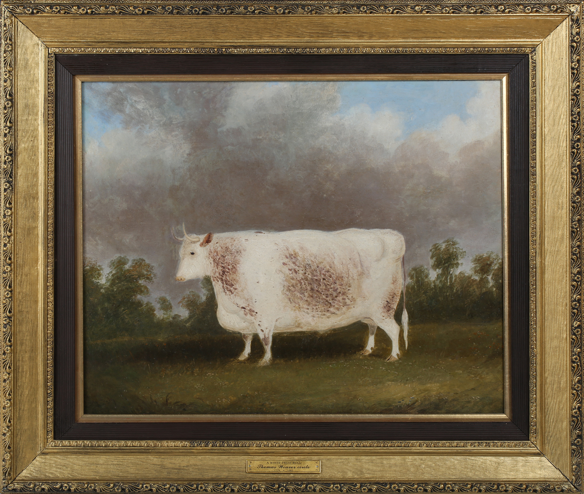 Circle of Thomas Weaver - Prize White Hereford Bull, 19th century oil on canvas, label verso, 41cm x