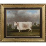 Circle of Thomas Weaver - Prize White Hereford Bull, 19th century oil on canvas, label verso, 41cm x