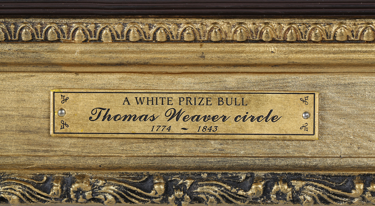 Circle of Thomas Weaver - Prize White Hereford Bull, 19th century oil on canvas, label verso, 41cm x - Image 3 of 3