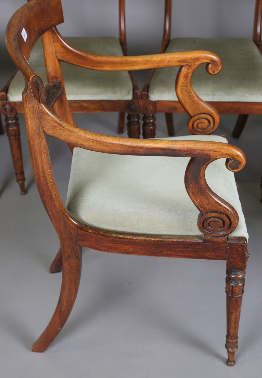 A set of seven Regency simulated rosewood beech framed dining chairs with carved centre rails, - Image 7 of 11