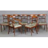 A set of seven Regency simulated rosewood beech framed dining chairs with carved centre rails,