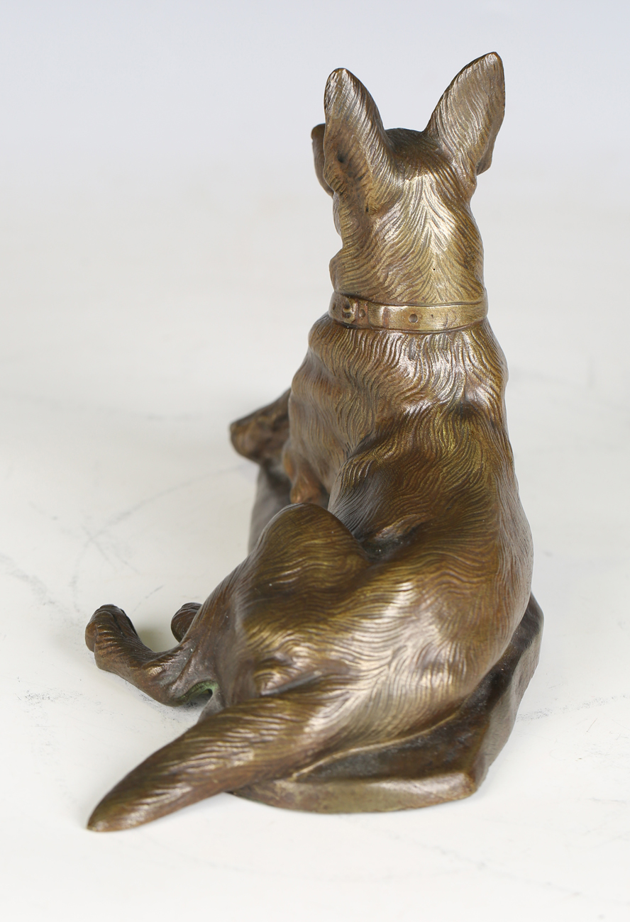 Maximilien-Louis Fiot - an early 20th century French patinated bronze model of an Alsatian, - Image 4 of 10