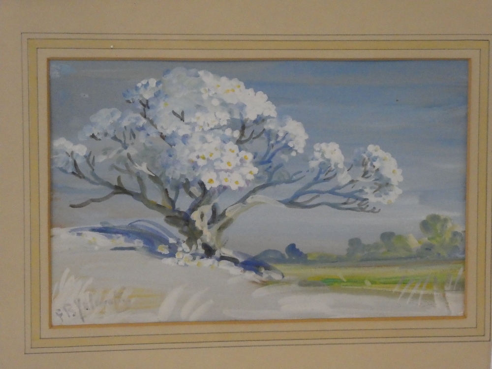 F**B**Yalavatti - watercolour Blossoming tree in a landscape, signed,