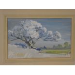 F**B**Yalavatti - watercolour Blossoming tree in a landscape, signed,