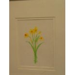 John Miller - watercolour Study of daffodils,