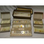 A selection of old microscope slides,
