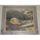 Andrew Barrowman - oil on canvas "Grey Seal Pup", signed, labelled to verso,