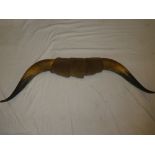 A pair of old mounted buffalo horns 37" long